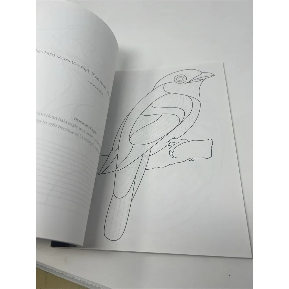 TangleEasy Birds Ben Kwok Zentangle Design Templates Coloring Art Book NEW NOS